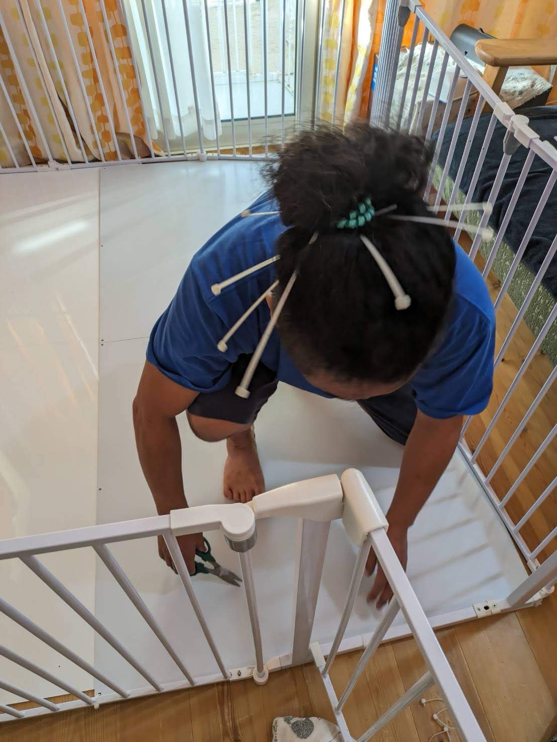 【Piglets HOTEL】年末年始のマイクロブタペットホテル｜【Piglets】福岡